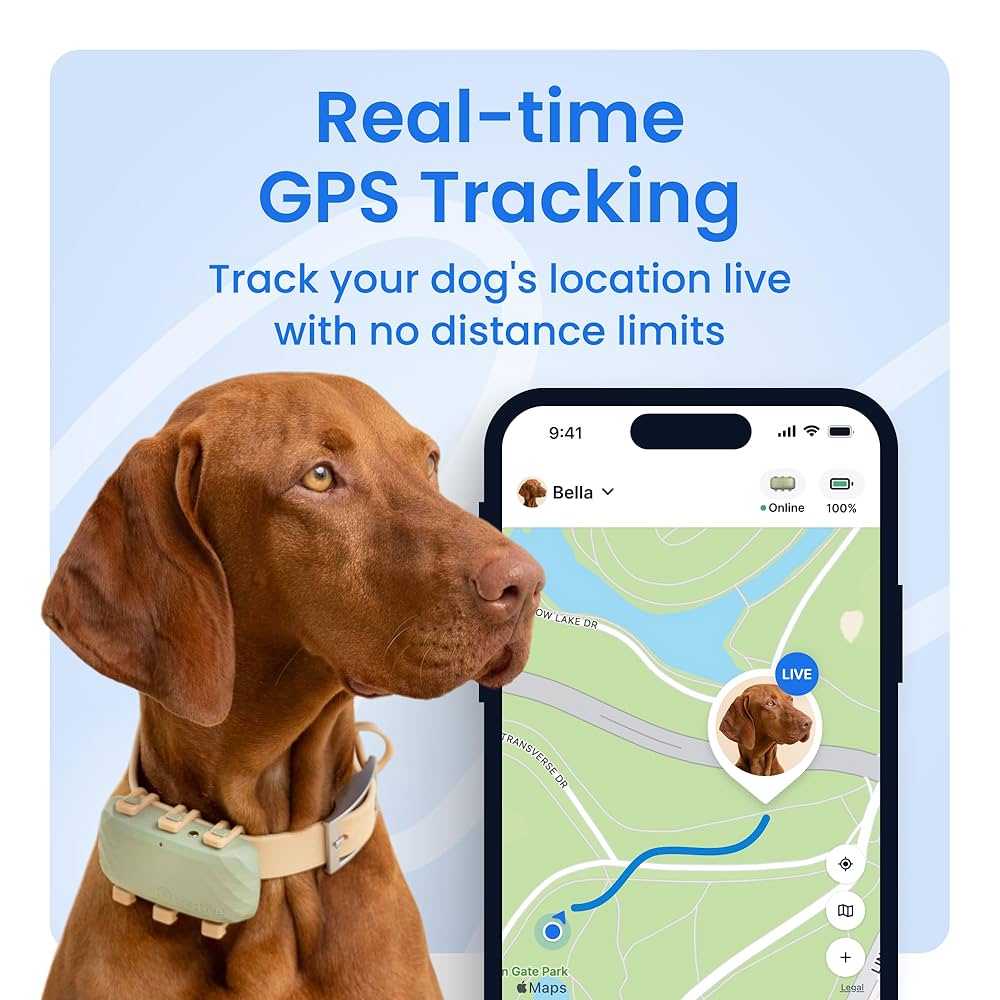 その他 Tractive GPS & Health Tracker for Dogs Tractive Dog GPS Tracker with Activity Monitoring, Fits any